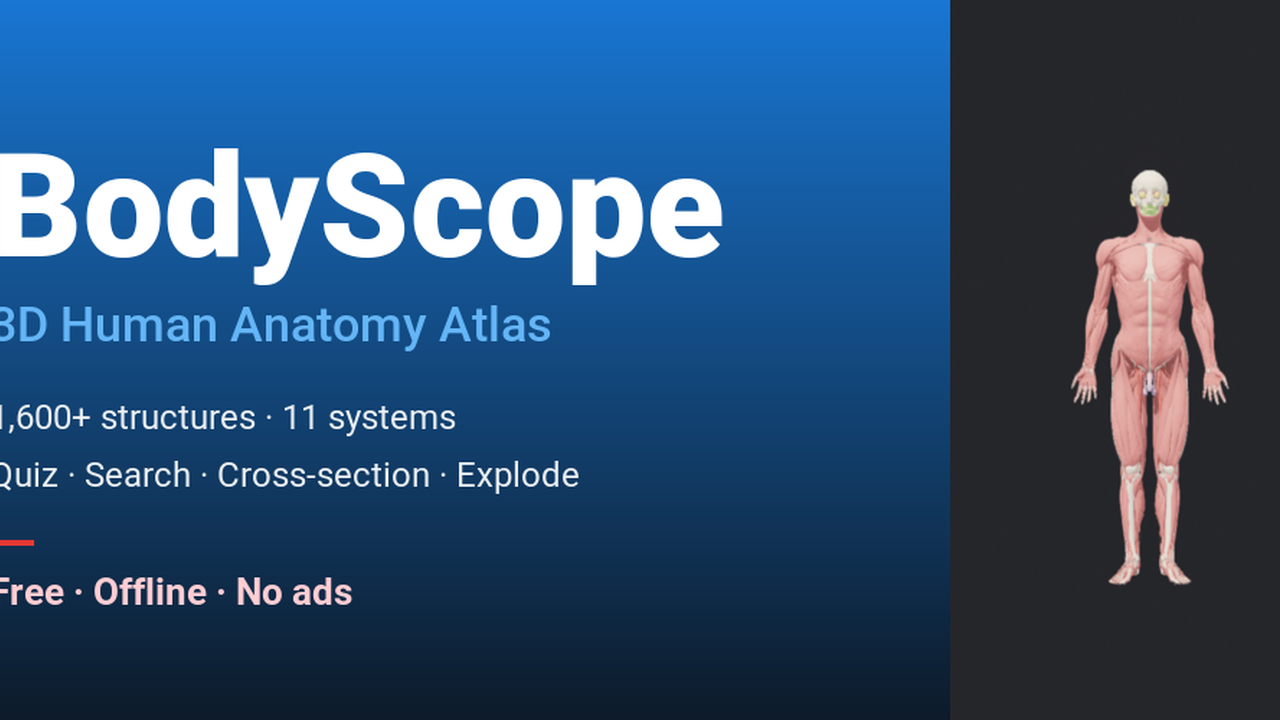 BodyScope screenshot